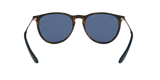 Ray-Ban Erika Sunglasses RB4171 639080