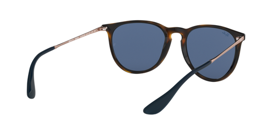 Ray-Ban Erika Sunglasses RB4171 639080