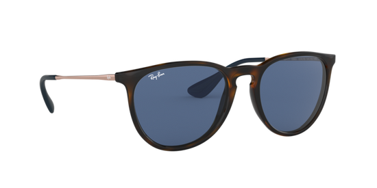 Ray-Ban Erika Sunglasses RB4171 639080