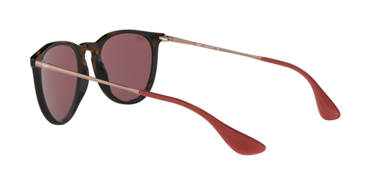 Ray-Ban Erika Sunglasses RB4171 639175