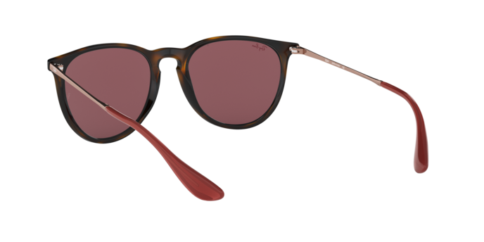 Ray-Ban Erika Sunglasses RB4171 639175