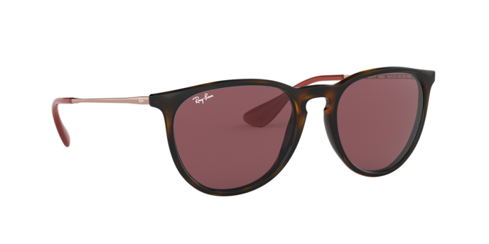 Ray-Ban Erika Sunglasses RB4171 639175