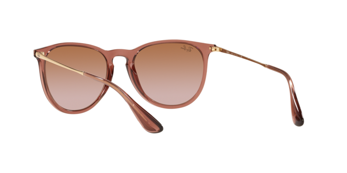 Load image into Gallery viewer, Ray-Ban Erika Sunglasses RB4171 659013
