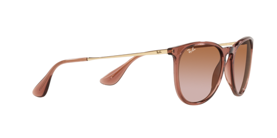Load image into Gallery viewer, Ray-Ban Erika Sunglasses RB4171 659013
