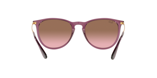 Ray-Ban Erika Sunglasses RB4171 659114