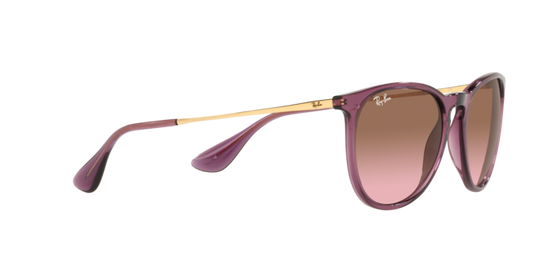 Ray-Ban Erika Sunglasses RB4171 659114