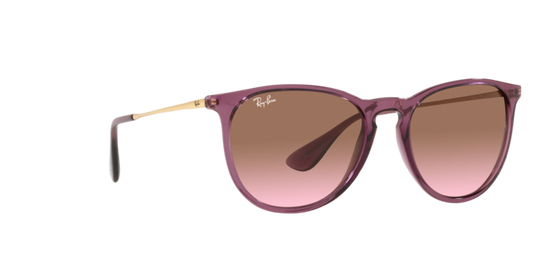 Ray-Ban Erika Sunglasses RB4171 659114