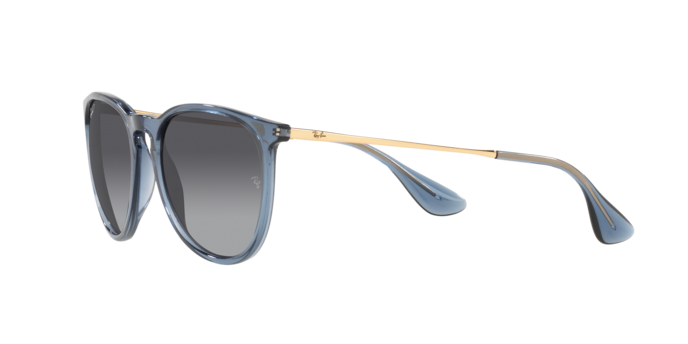 Ray-Ban Erika Sunglasses RB4171 6592T3