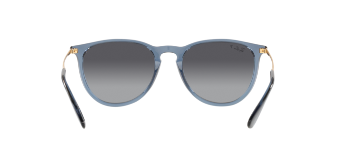 Ray-Ban Erika Sunglasses RB4171 6592T3