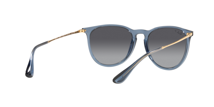 Ray-Ban Erika Sunglasses RB4171 6592T3