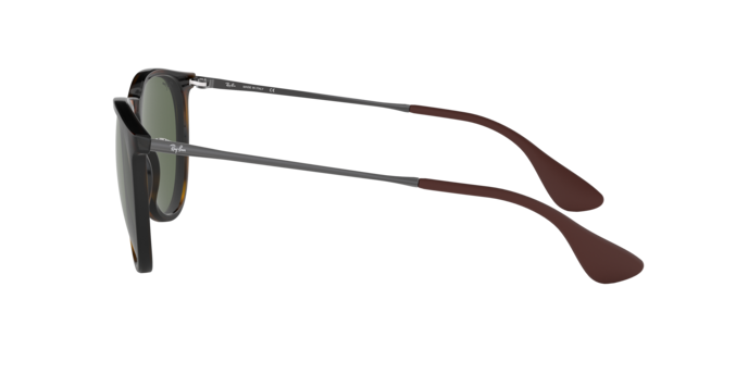 Ray-Ban Erika Sunglasses RB4171 710/71