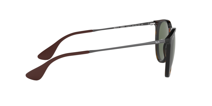 Ray-Ban Erika Sunglasses RB4171 710/71