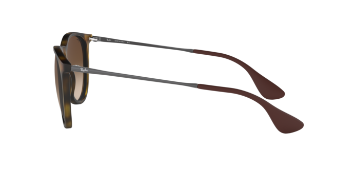 Ray-Ban Erika Sunglasses RB4171 865/13