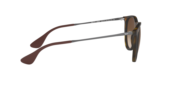 Ray-Ban Erika Sunglasses RB4171 865/13