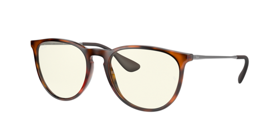 Ray-Ban Erika Sunglasses RB4171 865/SB