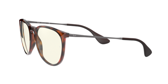 Ray-Ban Erika Sunglasses RB4171 865/SB