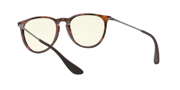 Ray-Ban Erika Sunglasses RB4171 865/SB