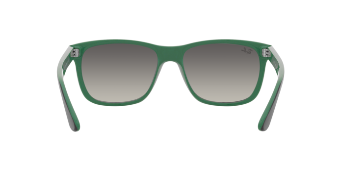 Ray-Ban RB4181 RB4181 656811