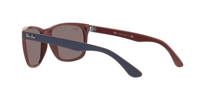 Ray-Ban Rb4181 Sunglasses RB4181 65697N