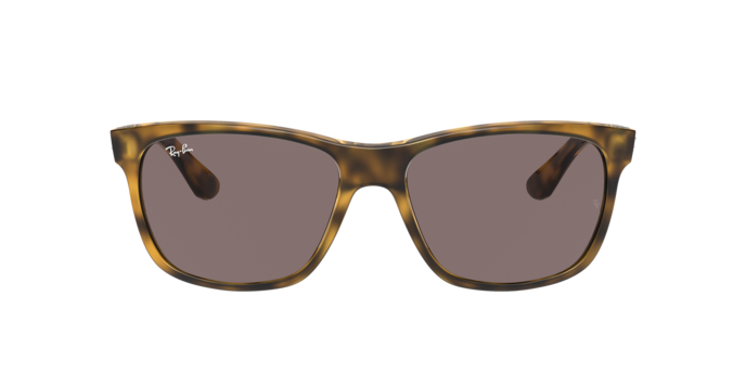 Ray-Ban Rb4181 Sunglasses RB4181 710/7N