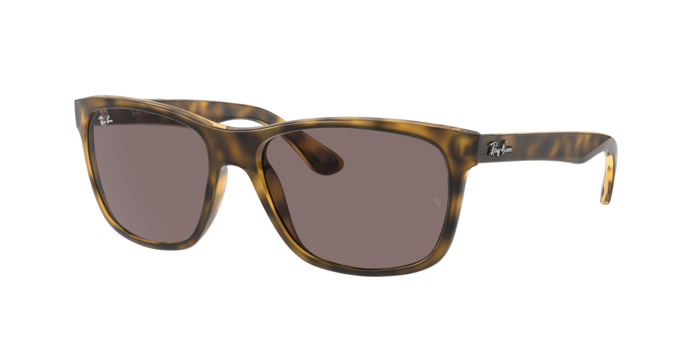 Ray-Ban Rb4181 Sunglasses RB4181 710/7N