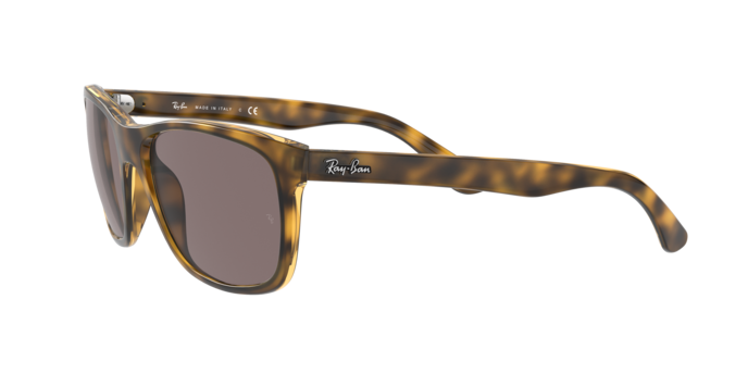 Ray-Ban Rb4181 Sunglasses RB4181 710/7N