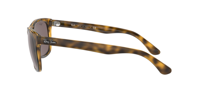 Ray-Ban Rb4181 Sunglasses RB4181 710/7N