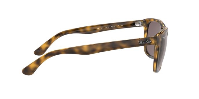 Ray-Ban Rb4181 Sunglasses RB4181 710/7N