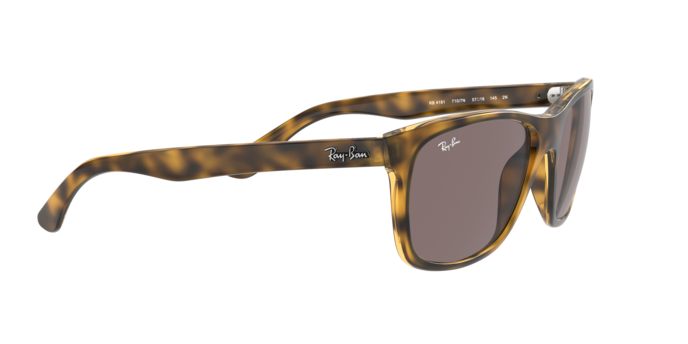 Ray-Ban Rb4181 Sunglasses RB4181 710/7N