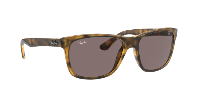 Ray-Ban Rb4181 Sunglasses RB4181 710/7N