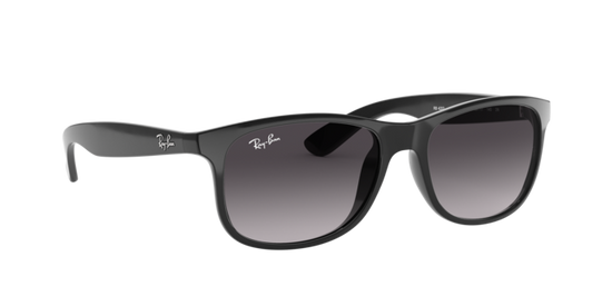 Ray-Ban Andy Sunglasses RB4202 601/8G