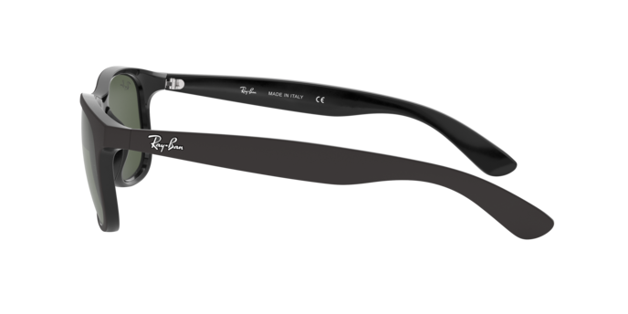 Ray-Ban Andy Sunglasses RB4202 606971