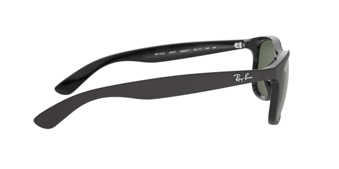 Ray-Ban Andy Sunglasses RB4202 606971