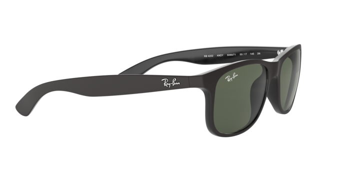 Ray-Ban Andy Sunglasses RB4202 606971