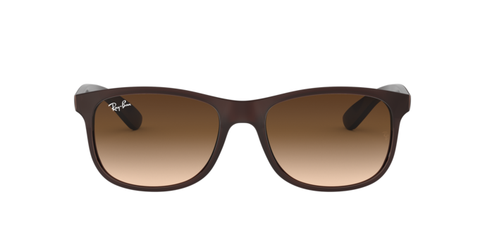 Ray-Ban Andy Sunglasses RB4202 607313