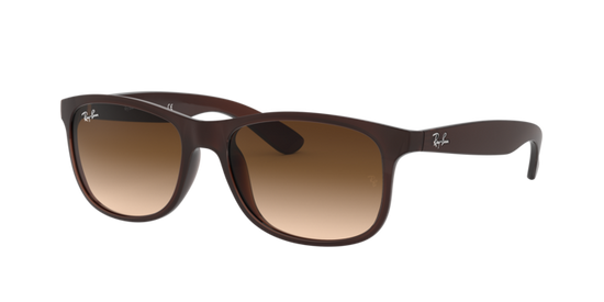 Ray-Ban Andy Sunglasses RB4202 607313