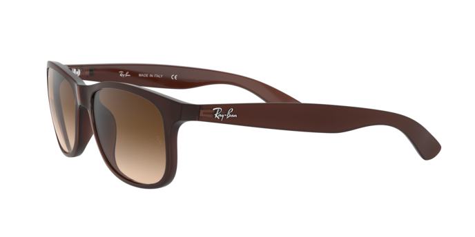 Ray-Ban Andy Sunglasses RB4202 607313