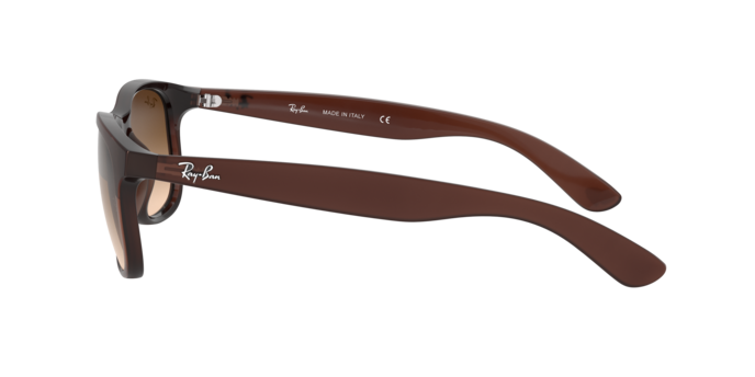 Ray-Ban Andy Sunglasses RB4202 607313