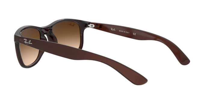 Ray-Ban Andy Sunglasses RB4202 607313