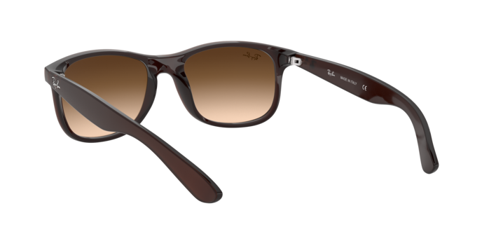 Ray-Ban Andy Sunglasses RB4202 607313