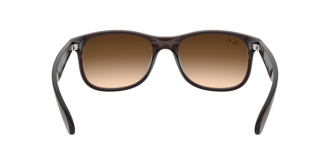 Ray-Ban Andy Sunglasses RB4202 607313