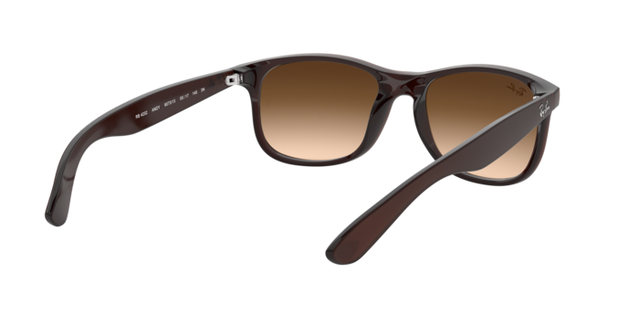 Ray-Ban Andy Sunglasses RB4202 607313