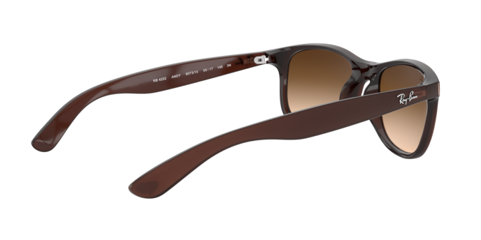 Ray-Ban Andy Sunglasses RB4202 607313