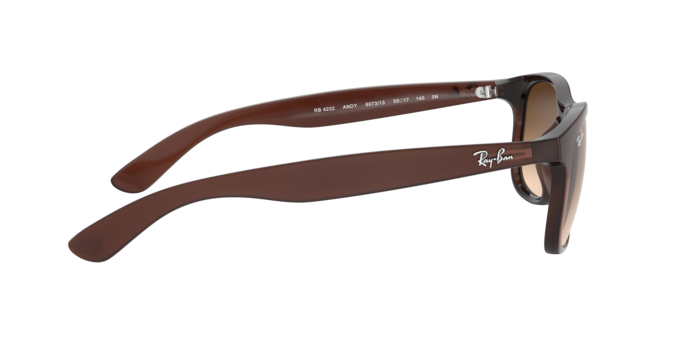 Ray-Ban Andy Sunglasses RB4202 607313