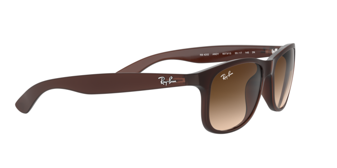Ray-Ban Andy Sunglasses RB4202 607313
