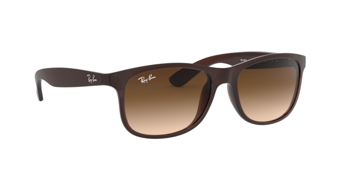 Ray-Ban Andy Sunglasses RB4202 607313