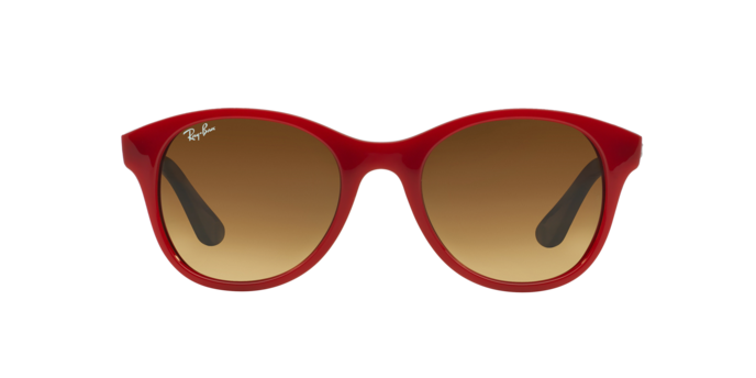 Ray-Ban Sunglasses RB4203 604485