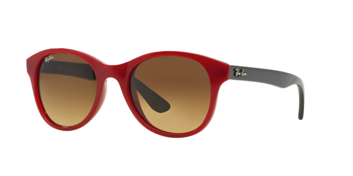 Ray-Ban Sunglasses RB4203 604485