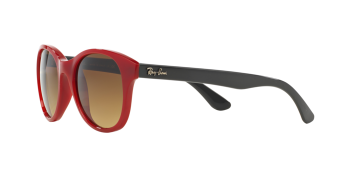 Ray-Ban Sunglasses RB4203 604485