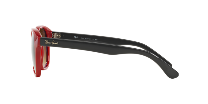 Ray-Ban Sunglasses RB4203 604485